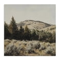 thumbnail image 1 of Stupell Industries Southwestern Cedar Mountain View Canvas Art, 17 x 17, by Petals Prints Design, 1 of 8
