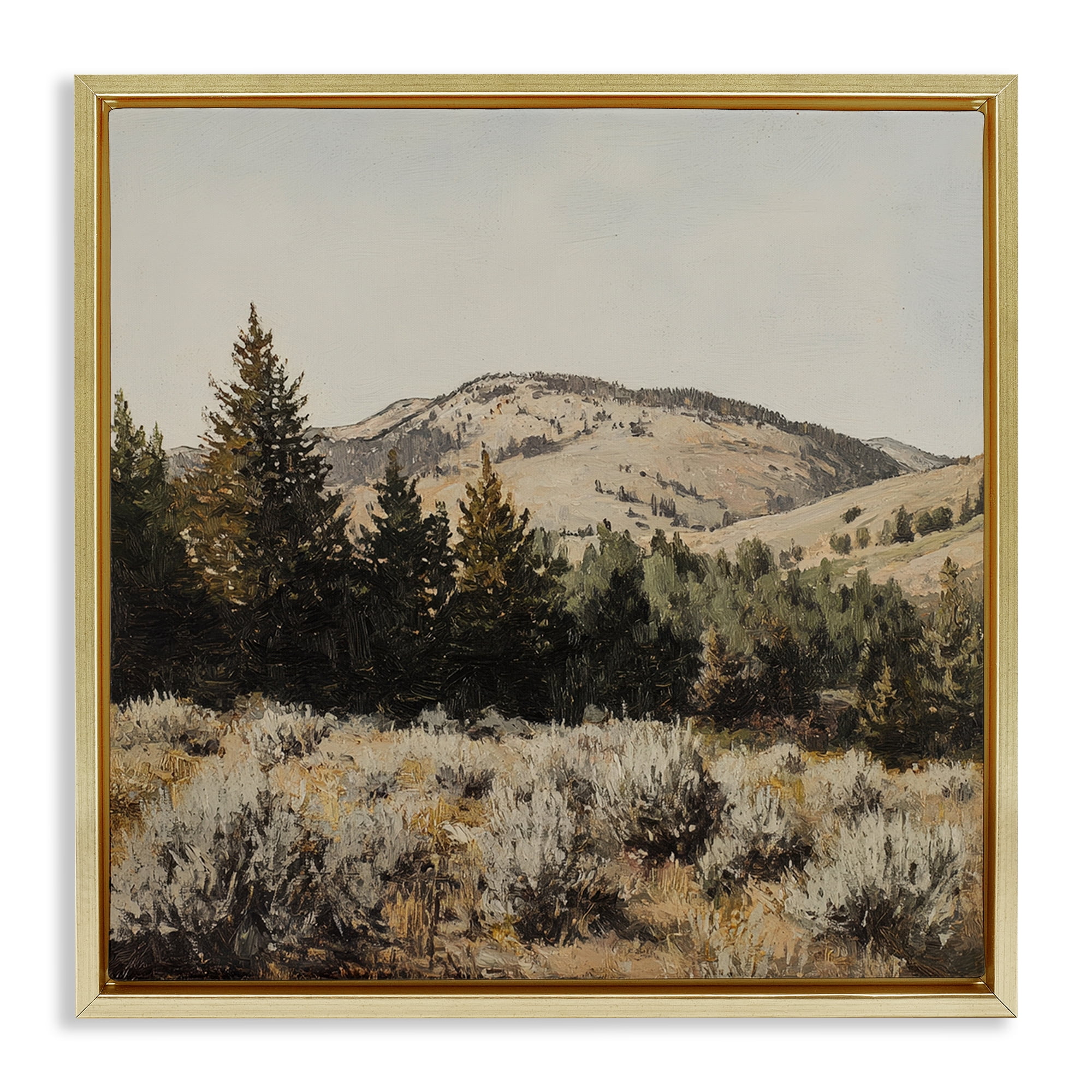 Stupell Industries Cedar Mountain View Gold Framed Floater Canvas Wall Art, design by Petal Prints Design