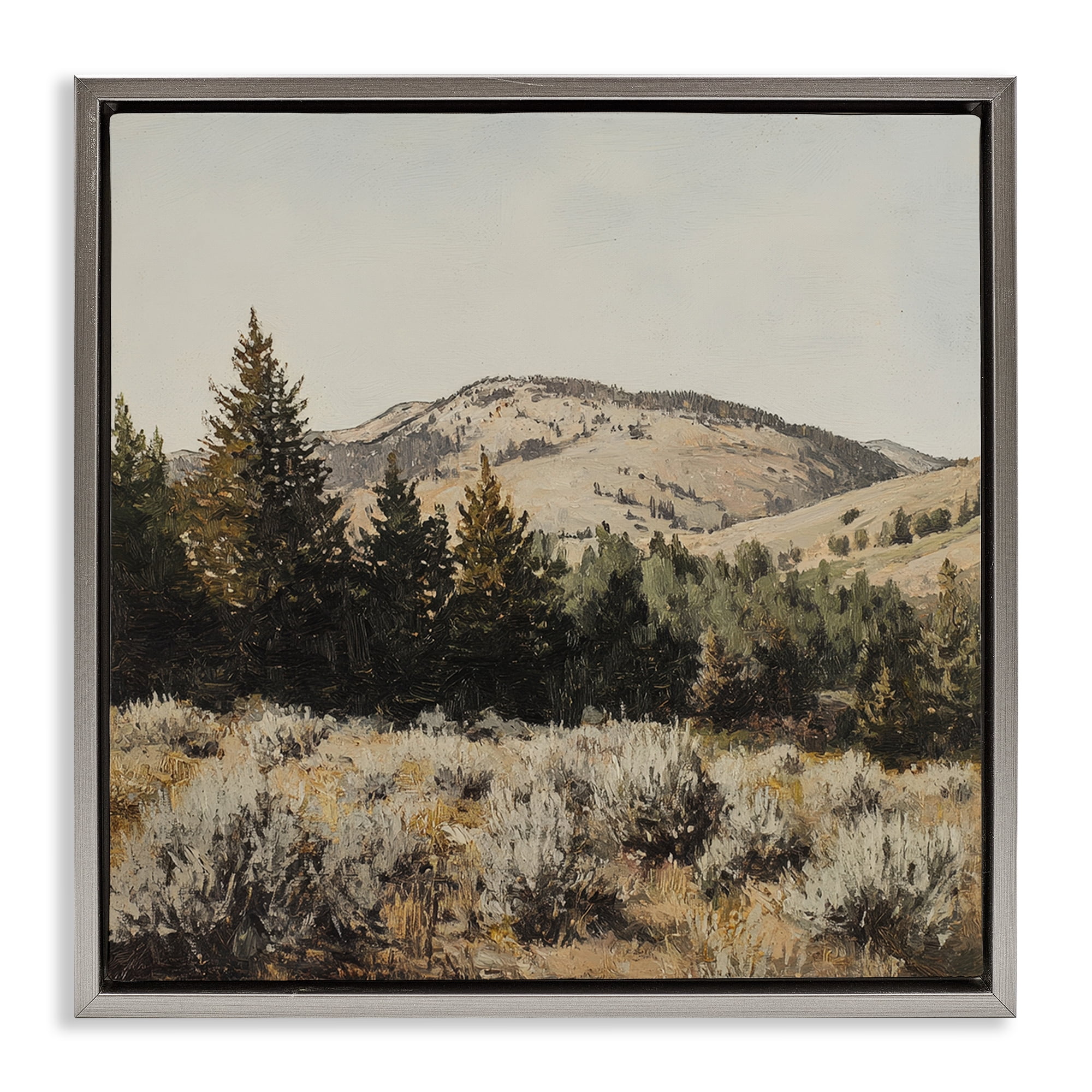 Stupell Industries Cedar Mountain View Gray Framed Floater Canvas Wall Art, design by Petal Prints Design