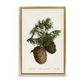 thumbnail image 1 of Stupell Industries Shabby Chic Cedar Tree Pinecones Gold Floating Frame Canvas Art, 17 x 25, by Tina Higgins Designs Inc., 1 of 8