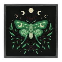 Stupell Industries Celestial Moth & Botanicals Animals Painting Black Floater Framed Canvas Art Print Wall Art, 18 x 18