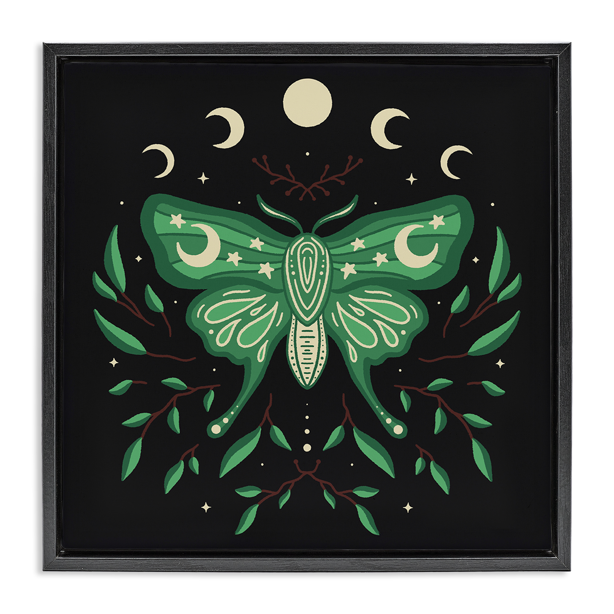Stupell Industries Celestial Moth & Botanicals Animals Painting Black Floater Framed Canvas Art Print Wall Art, 25 x 25