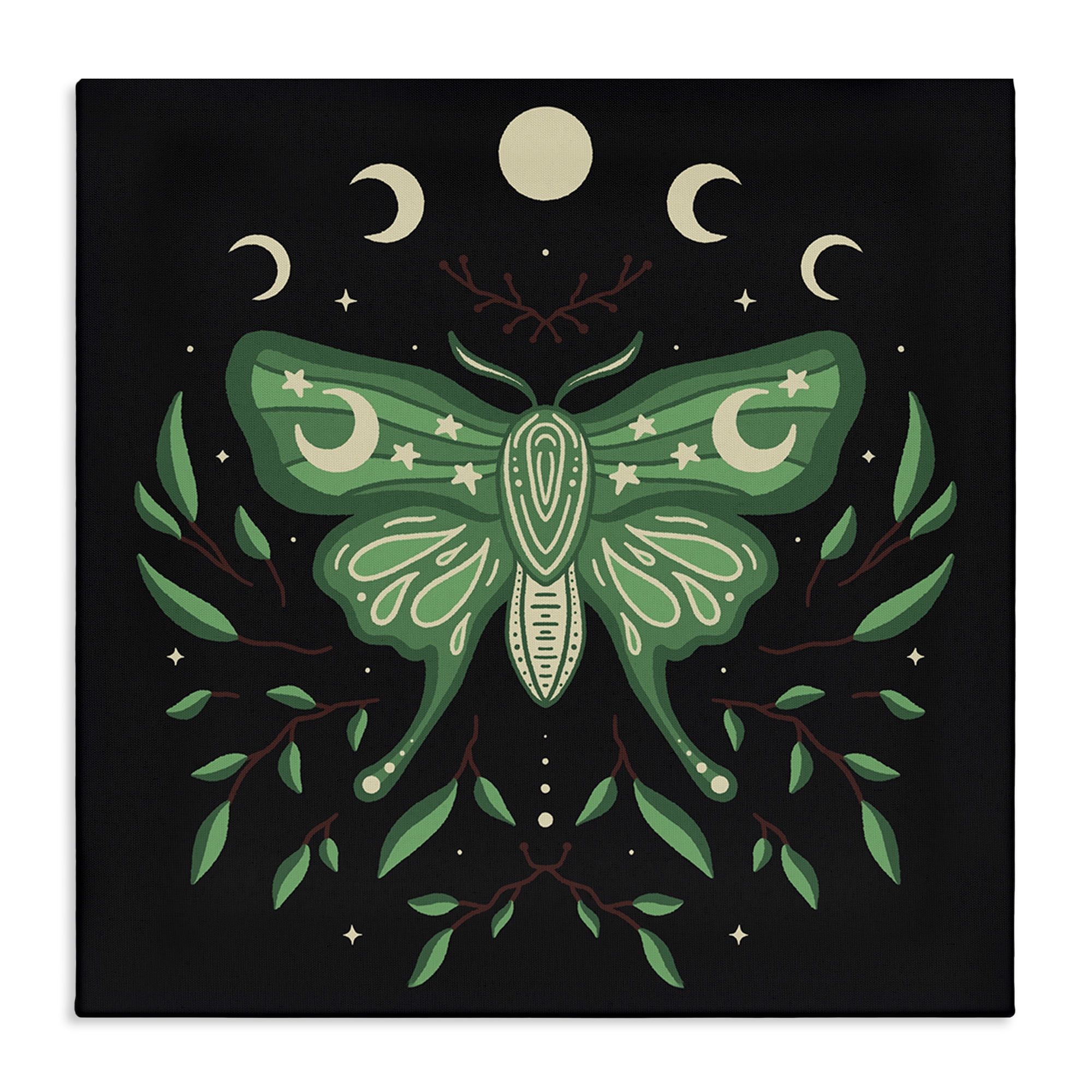 Stupell Industries Celestial Moth & Botanicals Animals Painting Wrapped Canvas Art Print Wall Art, 30 x 30