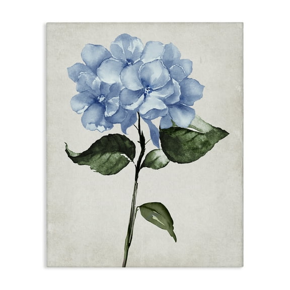 Stupell Industries Centered Hydrangea Stem Floral Painting Wrapped Canvas Canvas Art Print Wall Art, 16 x 20