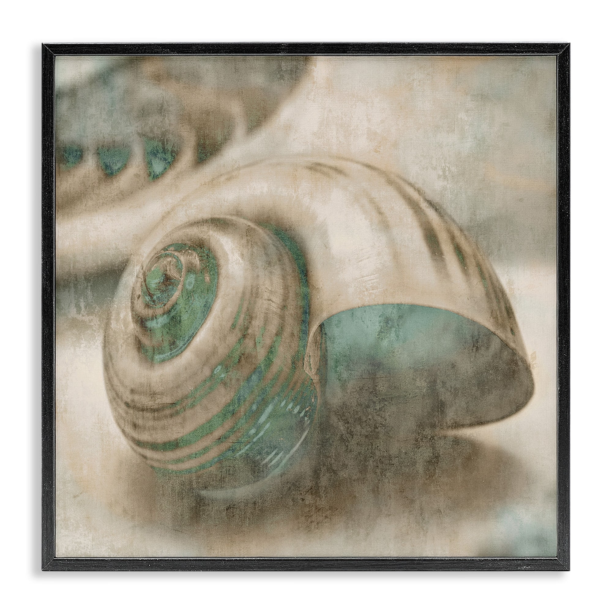 Stupell Industries Centered Sharkeye Seashell Distressed Texture Blue Tan Design Framed Wall Art by Ziwei Li