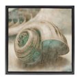 thumbnail image 1 of Stupell Industries Traditional Centered Shark Eye Seashell Black Floating Frame Canvas Art, 18 x 18, by Ziwei Li, 1 of 7