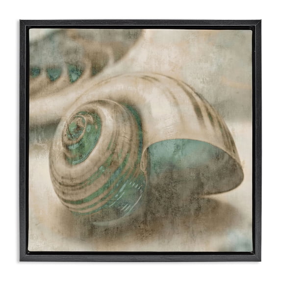 Stupell Industries Traditional Centered Shark Eye Seashell Black Floating Frame Canvas Art, 18 x 18, by Ziwei Li