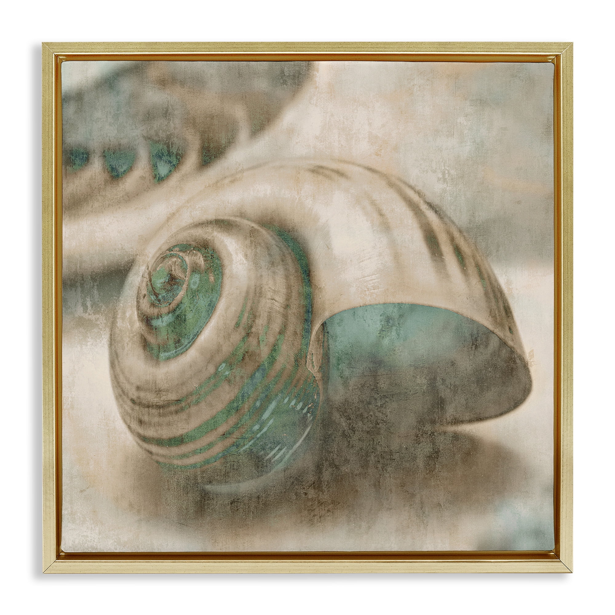 Stupell Industries Centered Sharkeye Seashell Nature Photography Gold Floater Framed Canvas Art Print Wall Art, 18 x 18