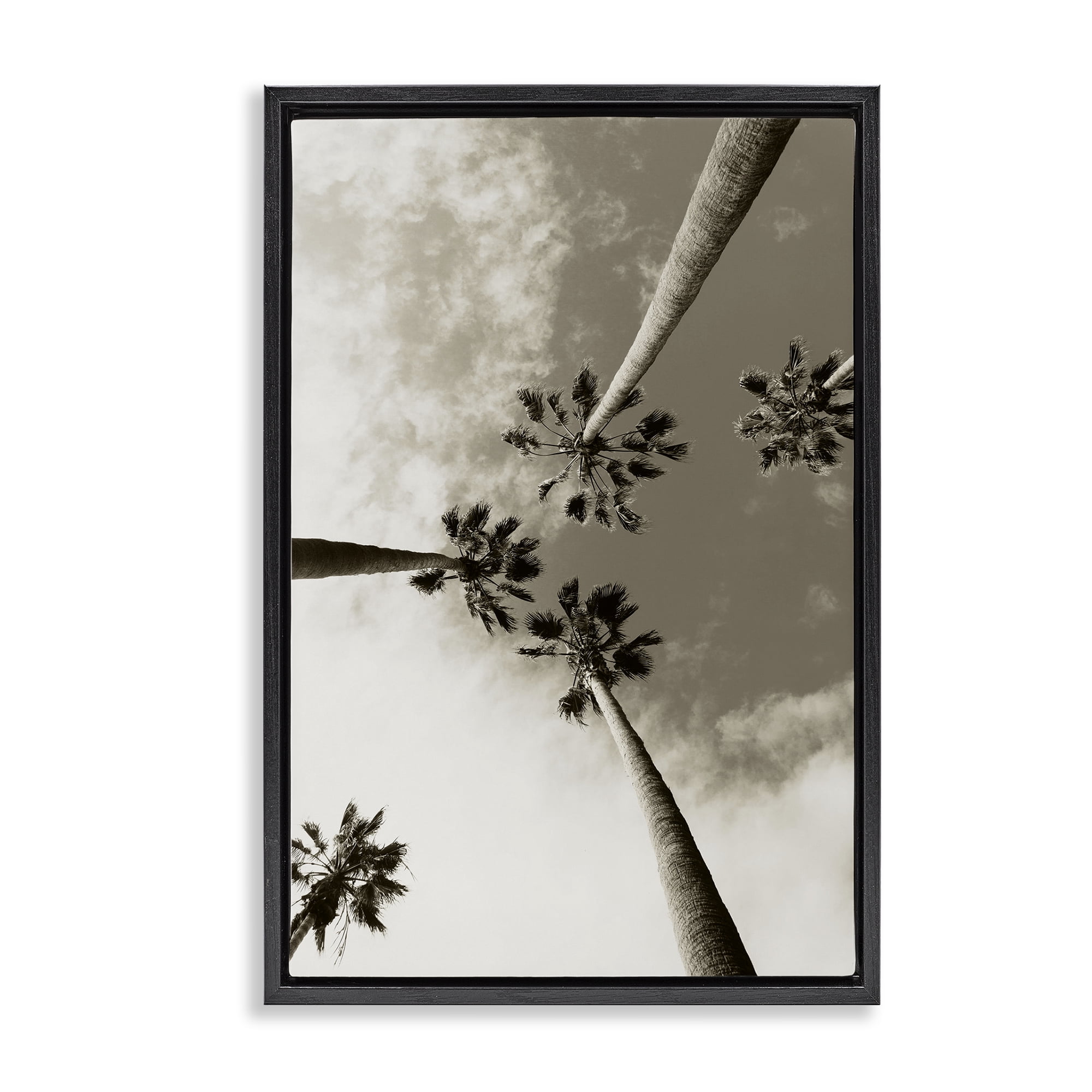 Stupell Industries Centric Palm Trees Botanical & Floral Photography Black Floater Framed Canvas Art Print Wall Art, 21 x 31