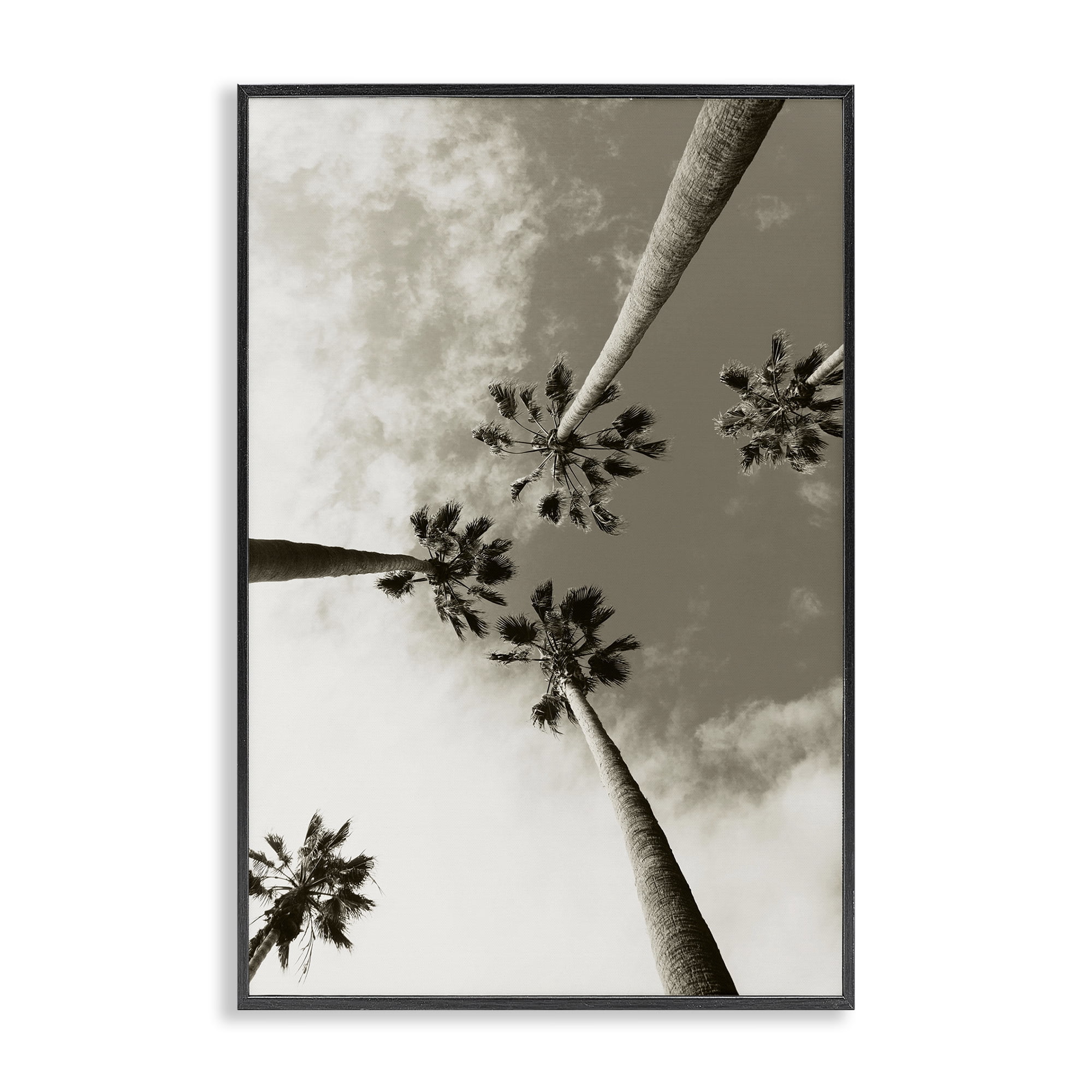 Stupell Industries Centric Palm Trees Botanical & Floral Photography Black Framed Art Print Wall Art, 12 x 18