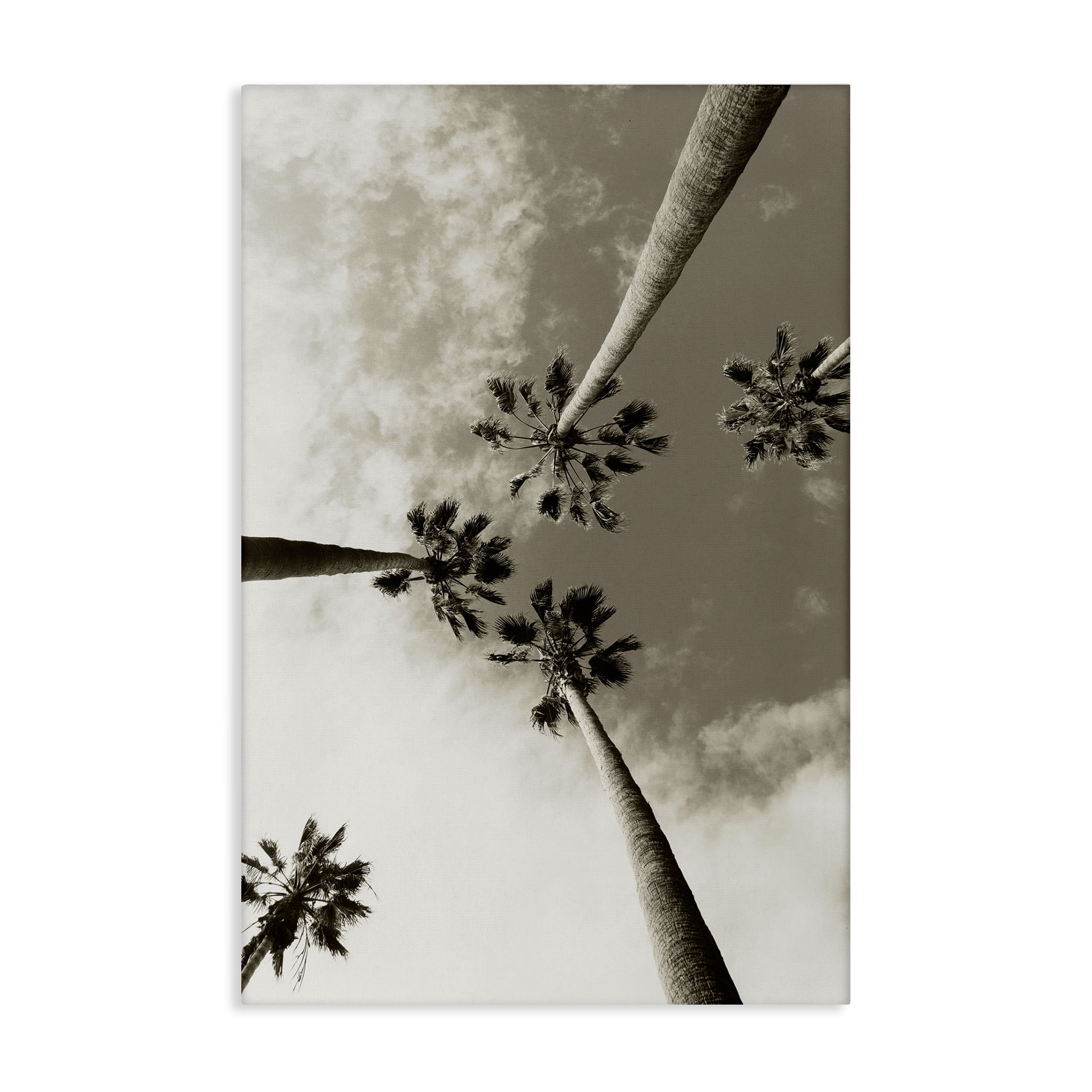 Stupell Industries Centric Palm Trees Botanical & Floral Photography Gallery Wrapped Canvas Art Print Wall Art, 24 x 36