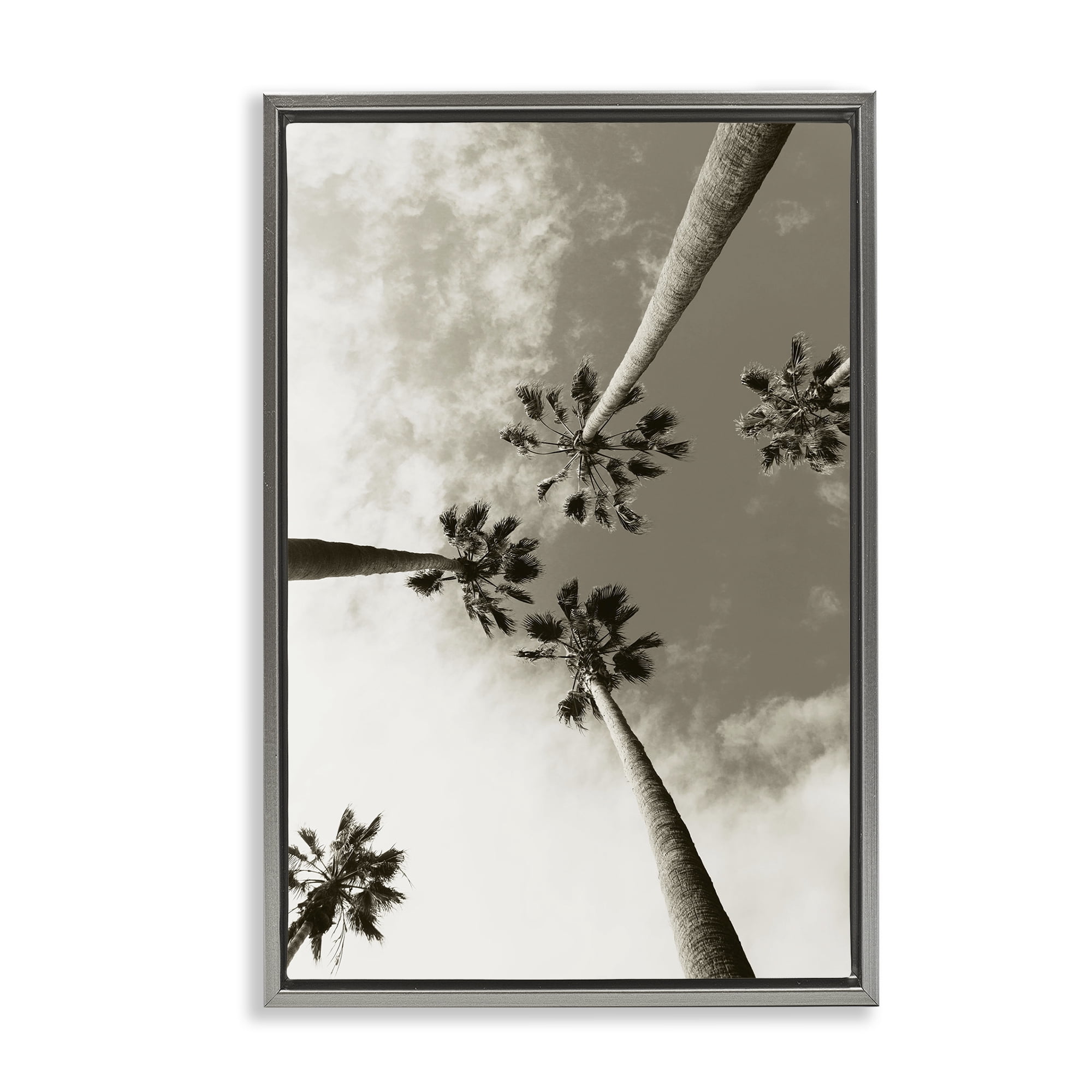 Stupell Industries Centric Palm Trees Botanical & Floral Photography Gray Floater Framed Canvas Art Print Wall Art, 21 x 31