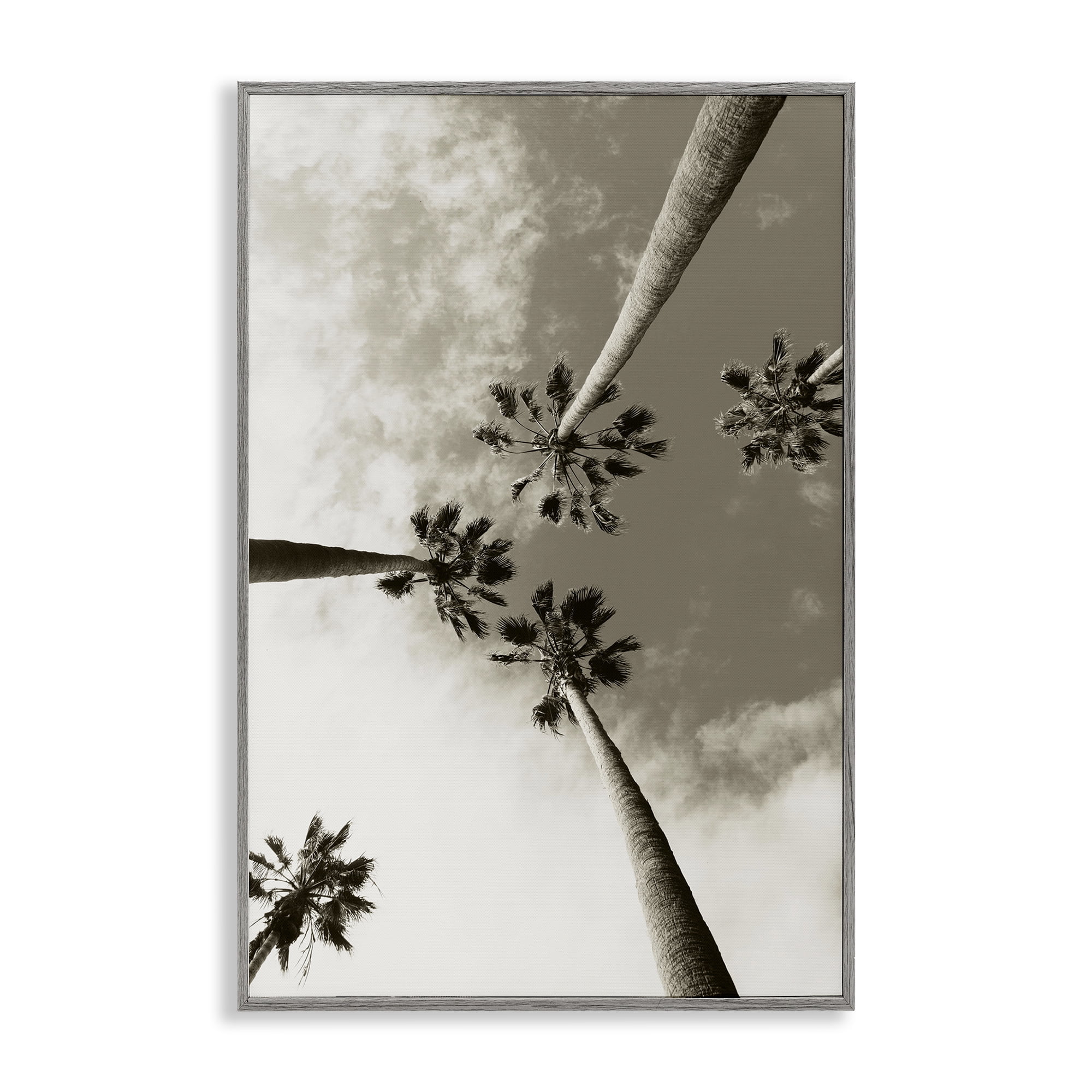 Stupell Industries Centric Palm Trees Botanical & Floral Photography Gray Framed Art Print Wall Art, 20 x 30