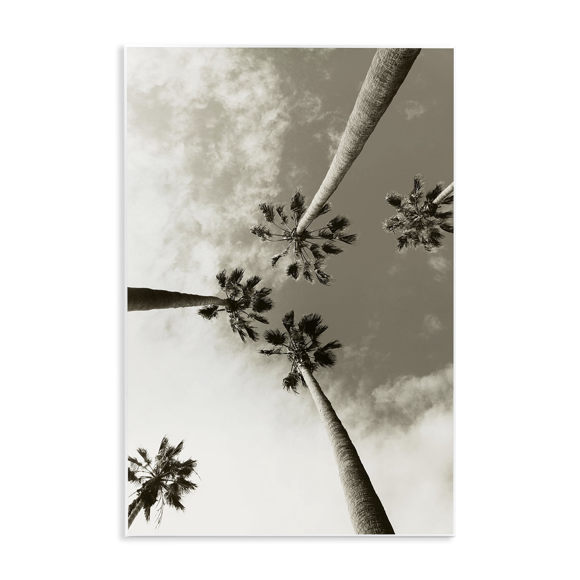 Stupell Industries Centric Palm Trees Botanical & Floral Photography Unframed Art Print Wall Art, 13 x 19