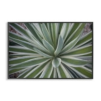Stupell Industries Centric Succulent Leaves Botanical & Floral Photography Black Framed Art Print Wall Art, 18 x 12