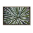 thumbnail image 1 of Stupell Industries Southwestern Centric Succulent Leaves Brown Floating Frame Canvas Art, 31 x 21, by Susan Bryant, 1 of 8