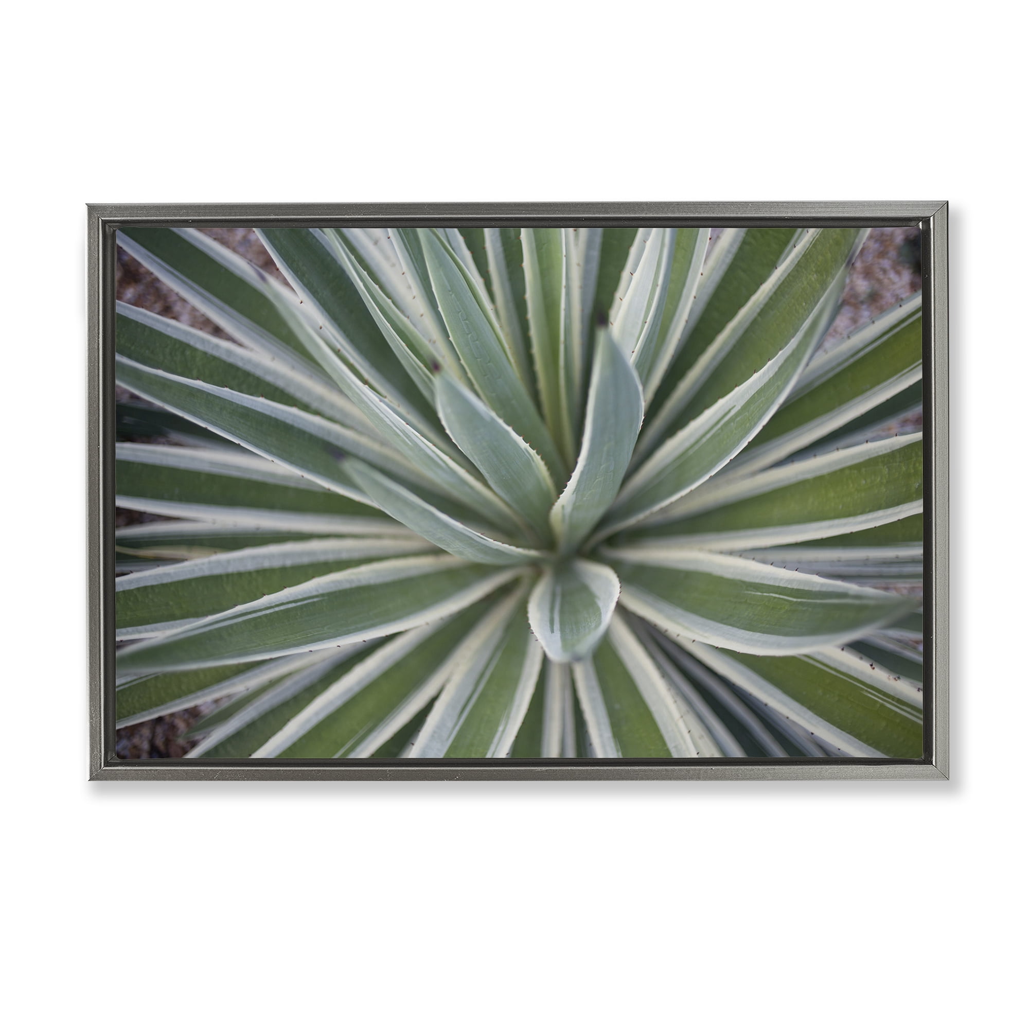 Stupell Industries Centric Succulent Leaves Botanical & Floral Photography Gray Floater Framed Canvas Art Print Wall Art, 25 x 17
