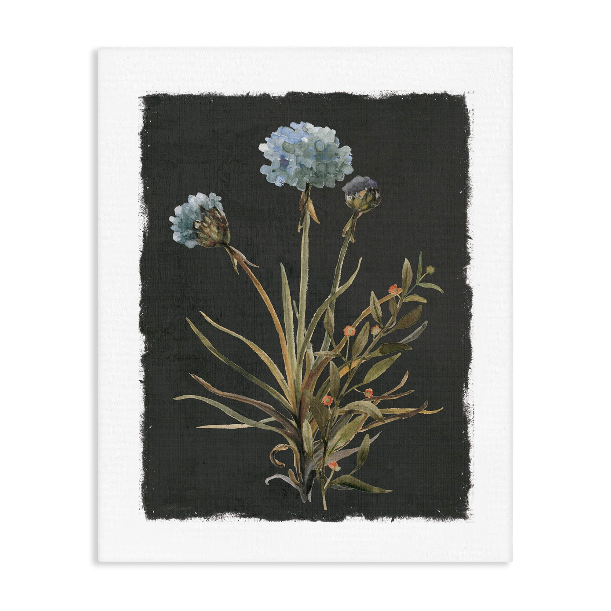 Stupell Industries Cerulean Bloom on Dark Green Canvas Wall Art, design by Carol Robinson