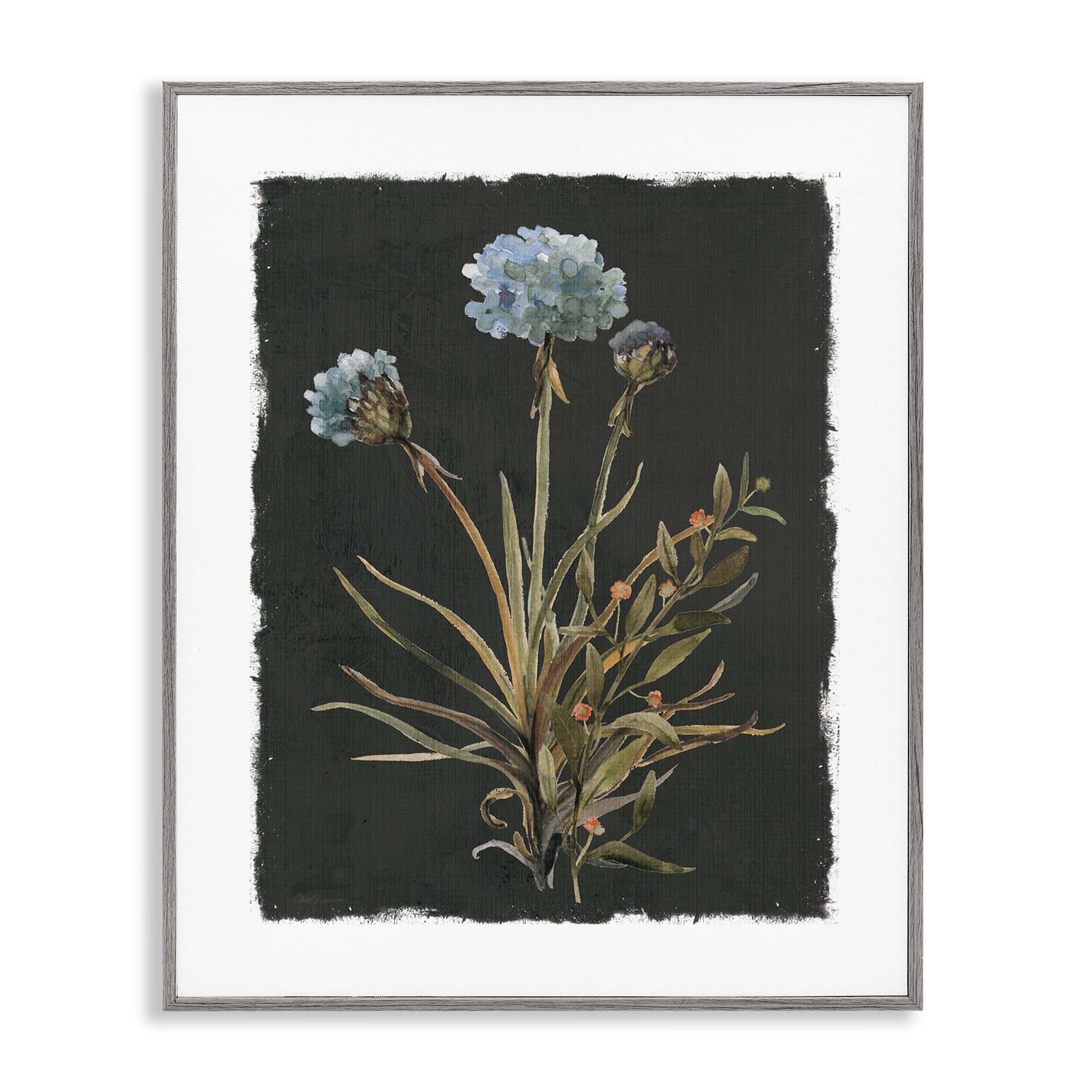 Stupell Industries Cerulean Bloom on Dark Green Gray Framed Giclee Art, design by Carol Robinson