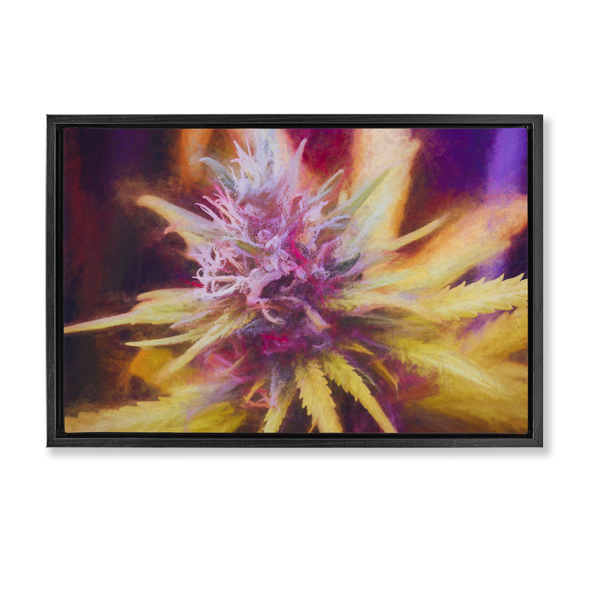 Stupell Industries Chalk Cannabis Flower Plants & Flowers Painting Black Floater Framed Canvas Art Print Wall Art, 25 x 17