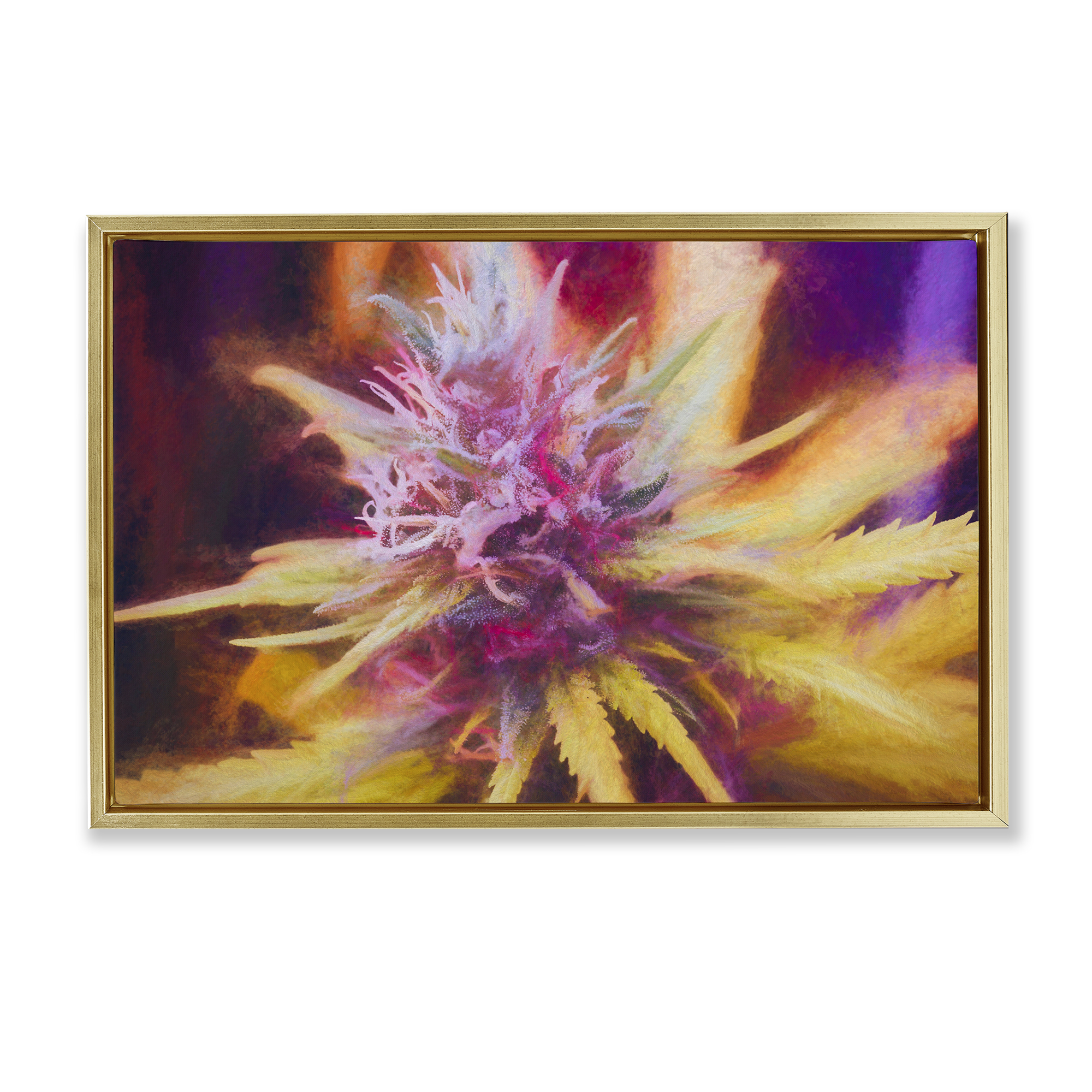 Stupell Industries Chalk Cannabis Flower Plants & Flowers Painting Gold Floater Framed Canvas Art Print Wall Art, 31 x 21