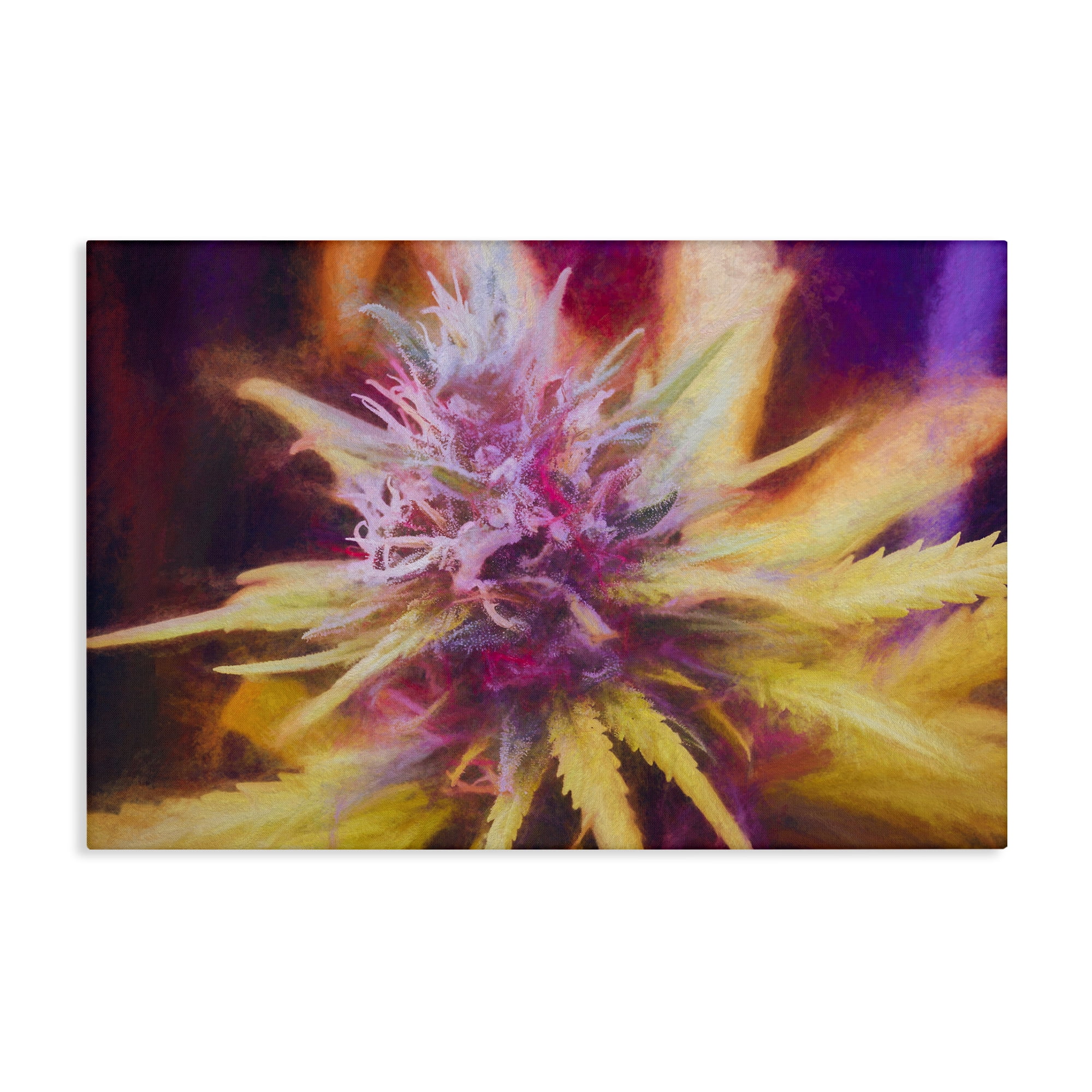 Stupell Industries Chalk Cannabis Flower Plants & Flowers Painting Wrapped Canvas Art Print Wall Art, 45 x 30
