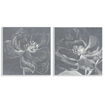 Stupell Industries Chalkboard Magnolia Blossom Plants & Flowers Drawing Unframed Art Print Wall Art, 12 x 12, Set of 2