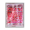 thumbnail image 1 of Stupell Industries Champagne Problems Bold Phrase Food & Beverage Painting Gray Framed Art Print Wall Art, 1 of 5