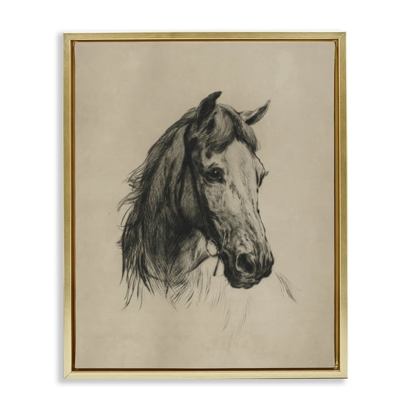 Stupell Industries Charcoal Horse Portrait Animals Drawing Gold Floater Framed Canvas Art Print Wall Art, 17 x 21