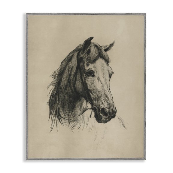 Stupell Industries Charcoal Horse Portrait Animals Drawing Gray Framed Art Print Wall Art, 24 x 30