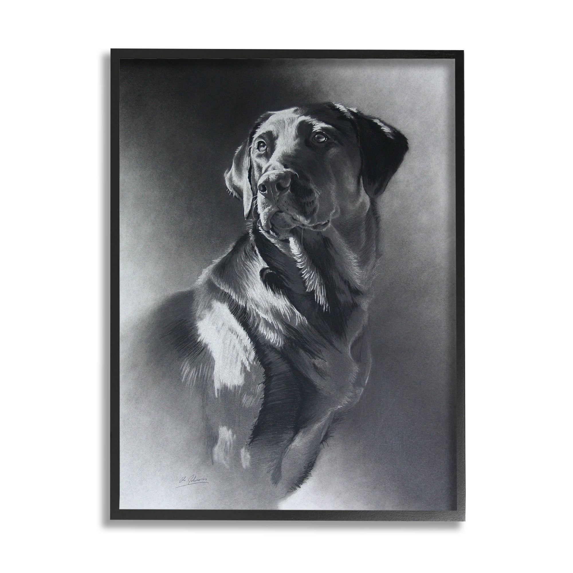 Stupell Industries Charcoal Pencil Labrador Dog Portrait Vintage Pet Animals & Insects Drawing Black Framed Art Print Wall Art, 16 x 20