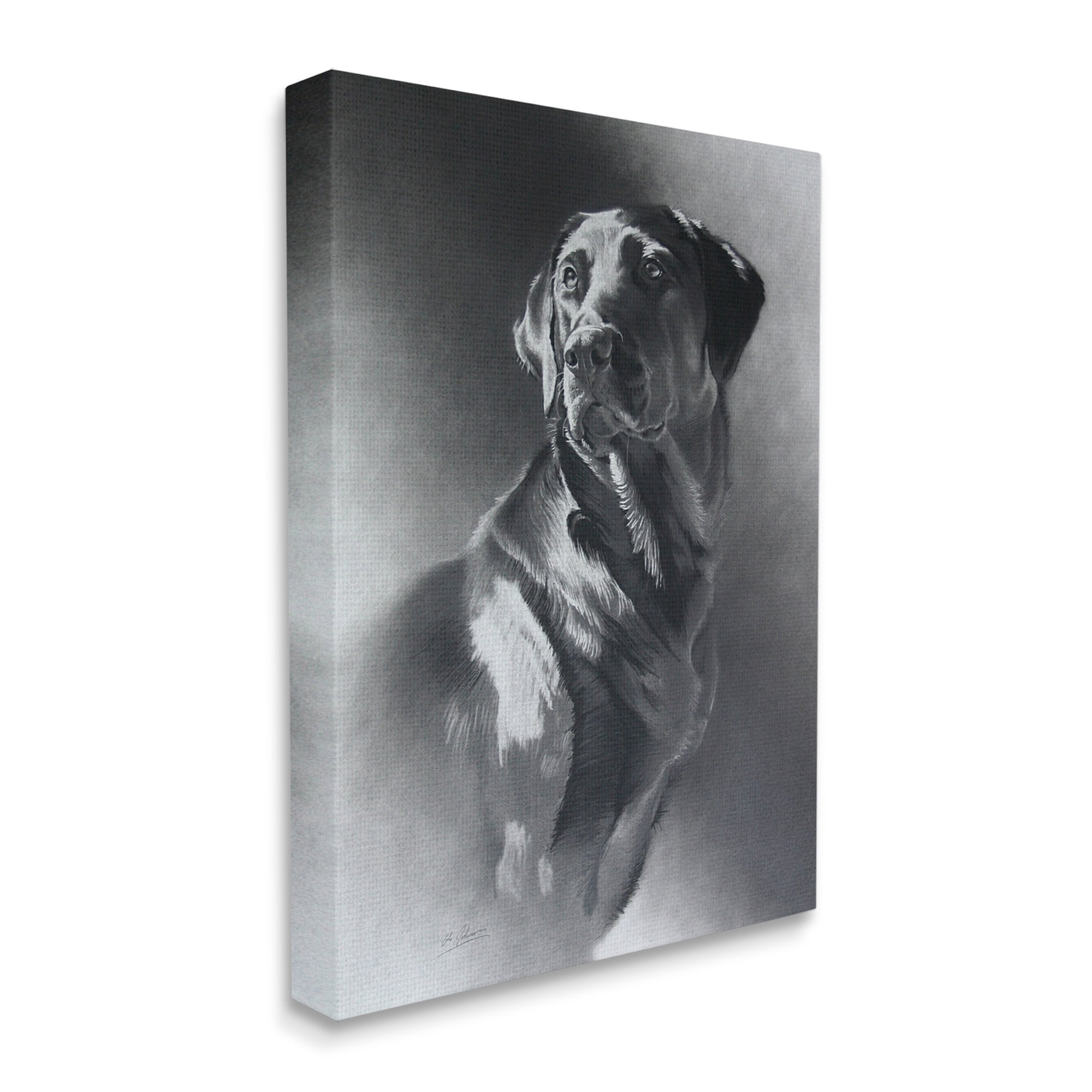 Stupell Industries Charcoal Pencil Labrador Dog Portrait Vintage Pet Animals & Insects Drawing Gallery Wrapped Canvas Print Wall Art, 30 x 40