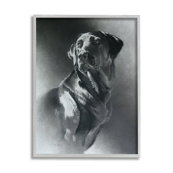 Stupell Industries Charcoal Pencil Labrador Dog Portrait Vintage Pet Animals & Insects Drawing Gray Framed Art Print Wall Art, 16 x 20