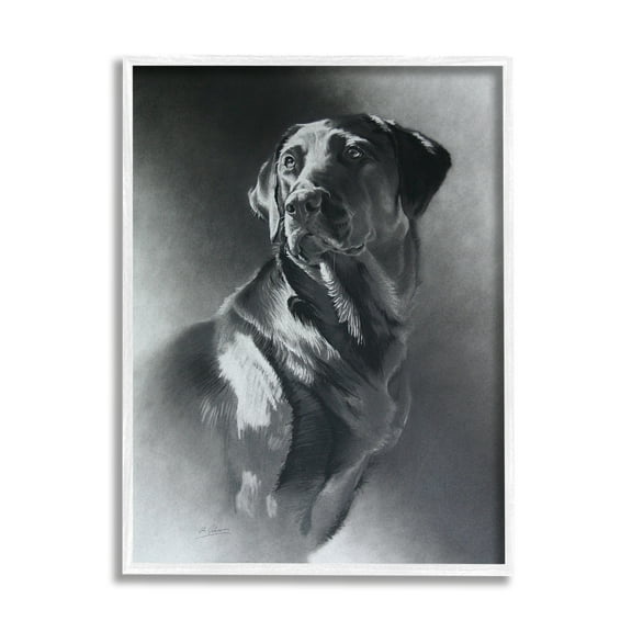 Stupell Industries Charcoal Pencil Labrador Dog Portrait Vintage Pet Traditional Drawing White Framed Art Print Wall Art, 16 x 20, Design by Cole Johnson
