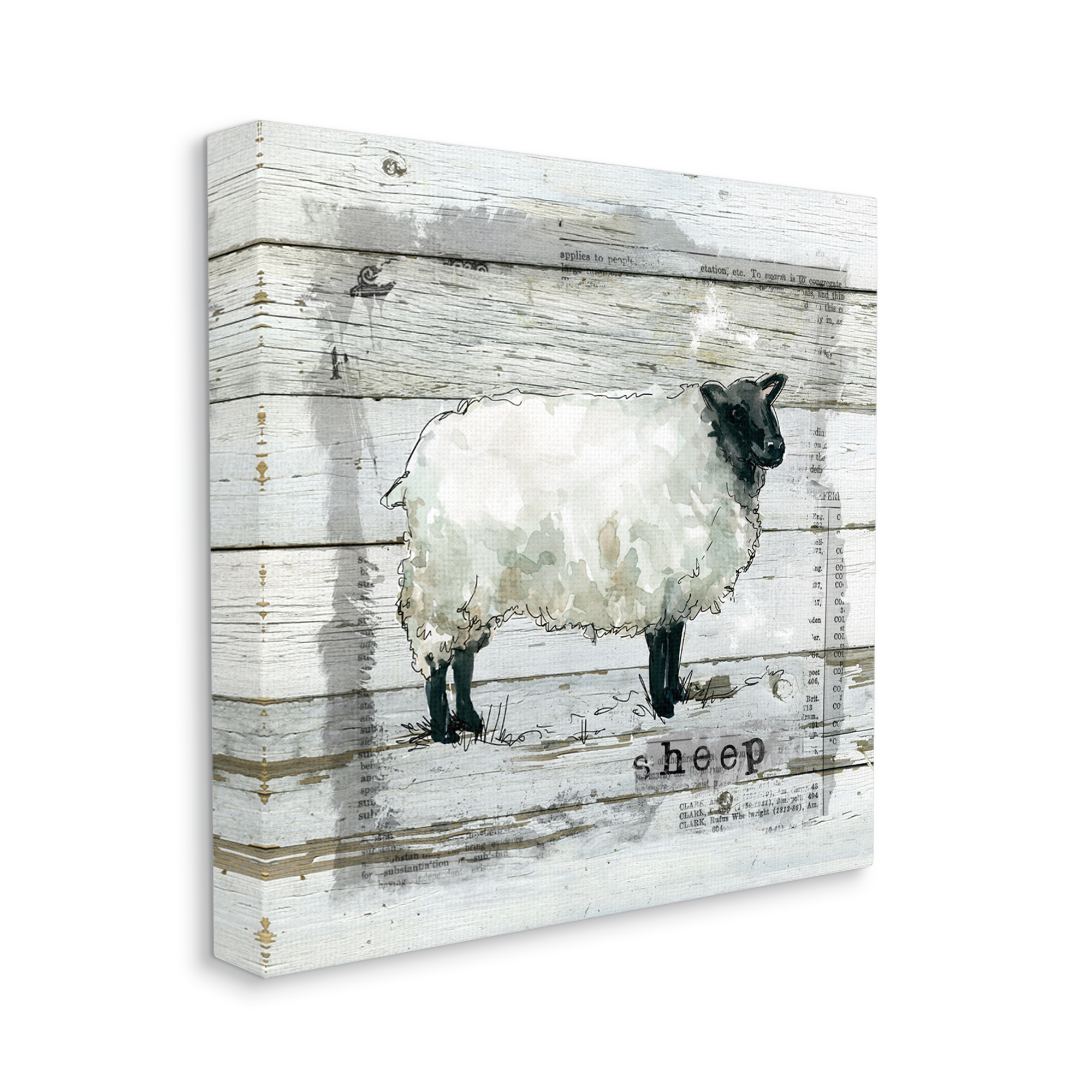 Stupell Industries Charming Country Sheep Book Collage Rustic Pattern, 36 x 36, Design by Carol Robinson