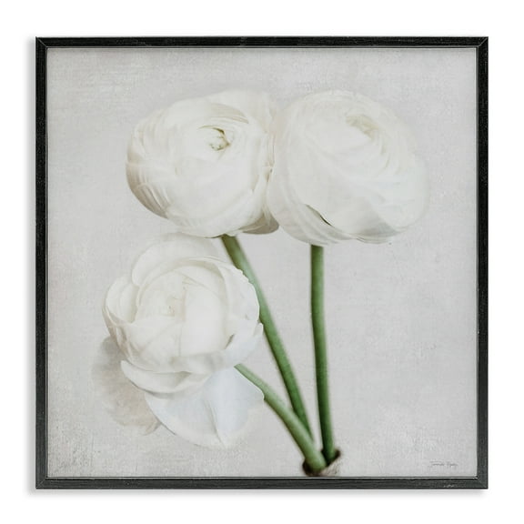 Stupell Industries Charming Peony Trio Botanical & Floral Painting Black Framed Art Print Wall Art, 12 x 12