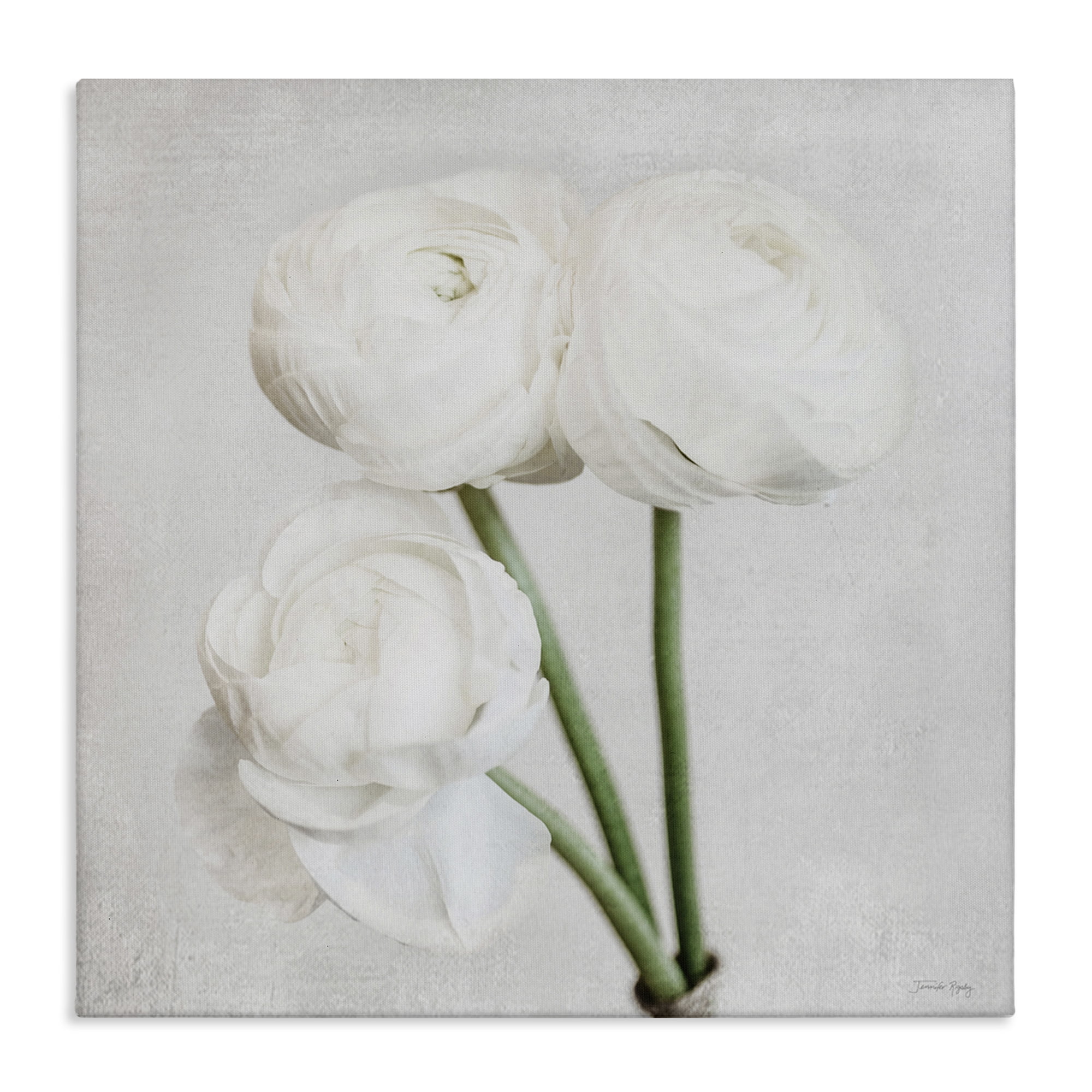 Stupell Industries Charming Peony Trio Botanical & Floral Painting Gallery Wrapped Canvas Art Print Wall Art, 36 x 36