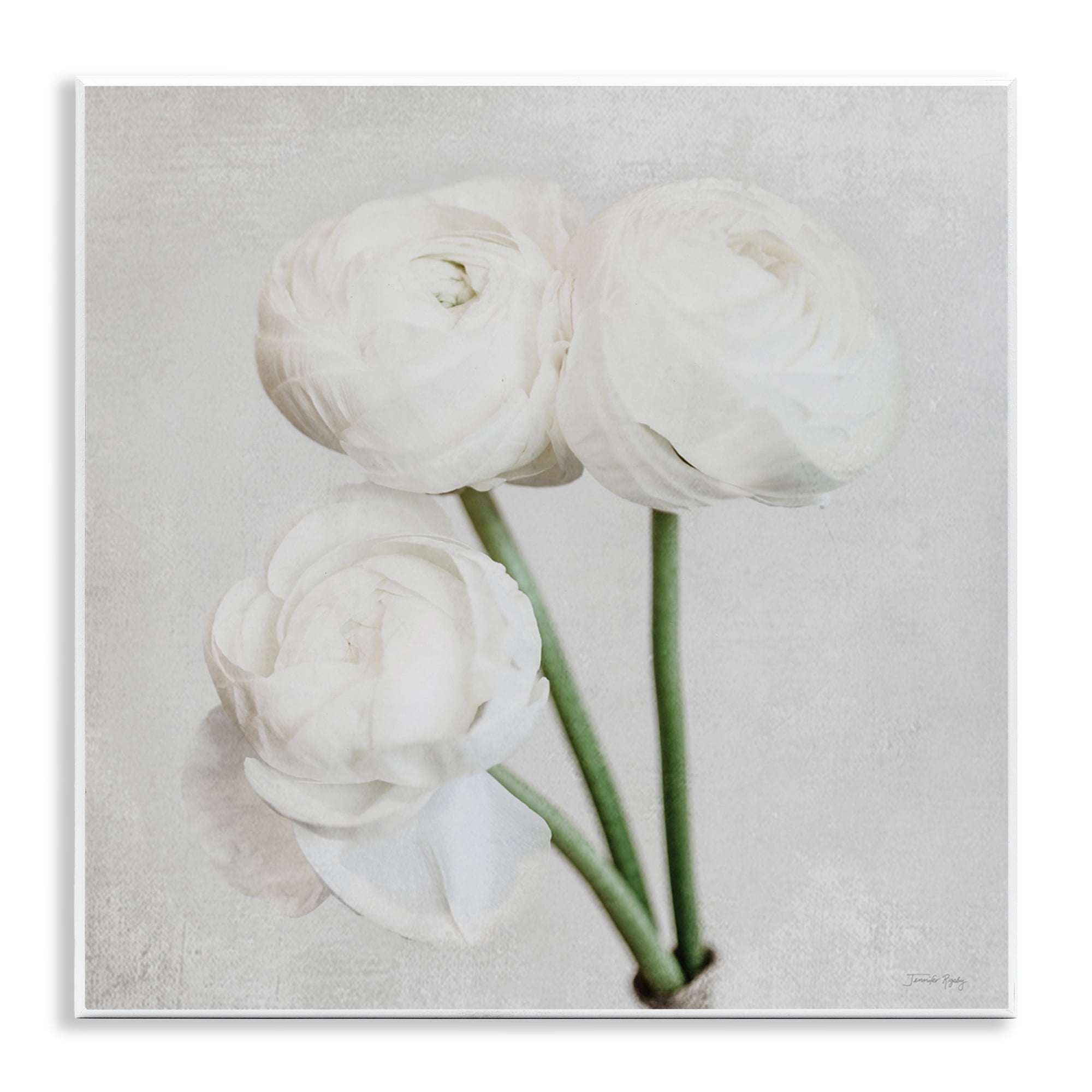 Stupell Industries Charming Peony Trio Botanical & Floral Painting Unframed Art Print Wall Art, 12 x 12