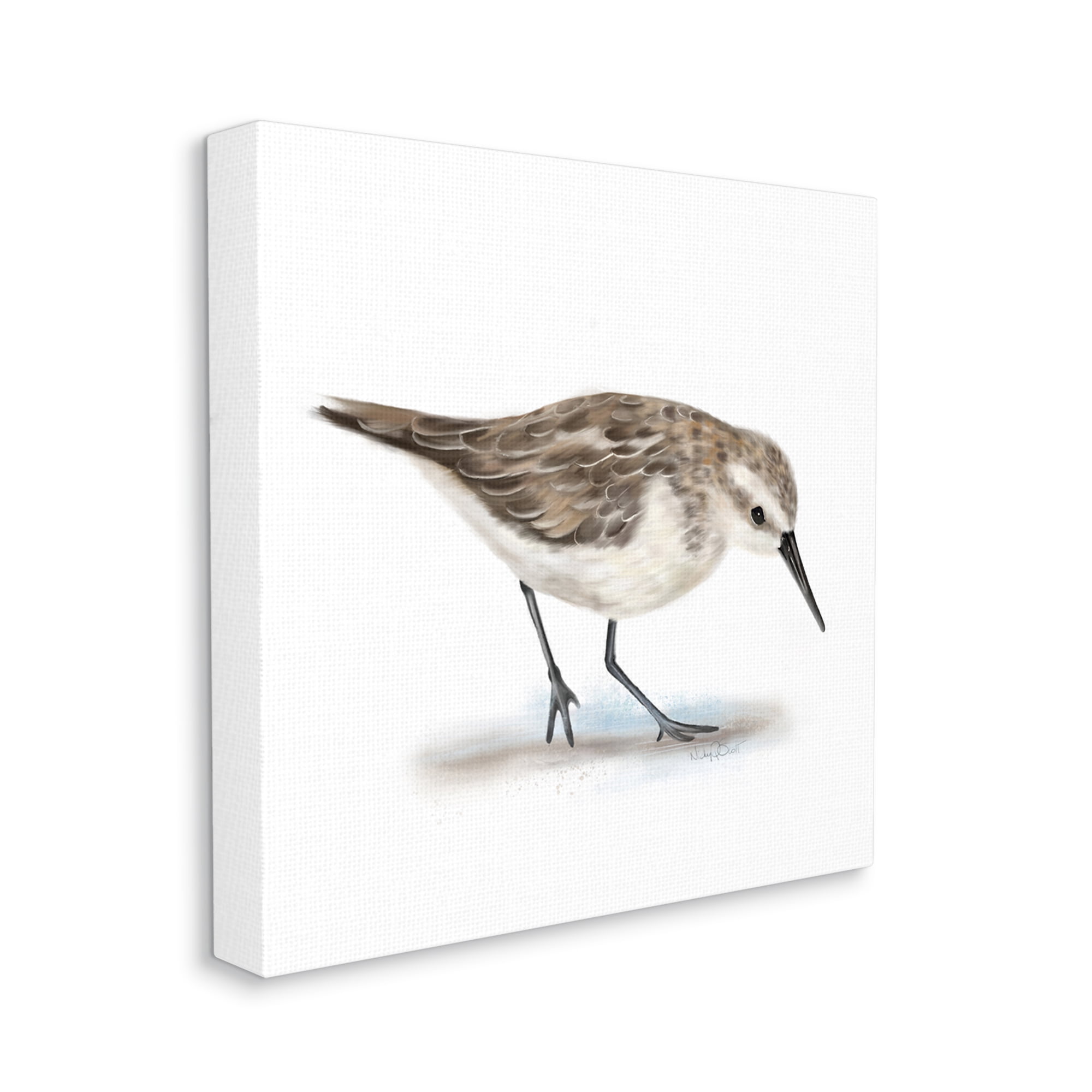 Stupell Industries Charming Sandpiper on Soft Sand Brown Nautical Bird, 24 x 24, Designed by Studio Q