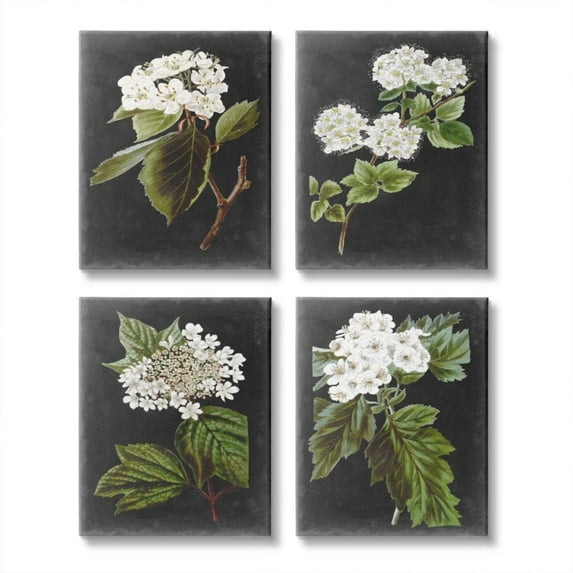 Stupell Industries Charming White Cottage Florals over Charcoal Grey Design by Vision Studio, 4 Piece, 16" x 20"