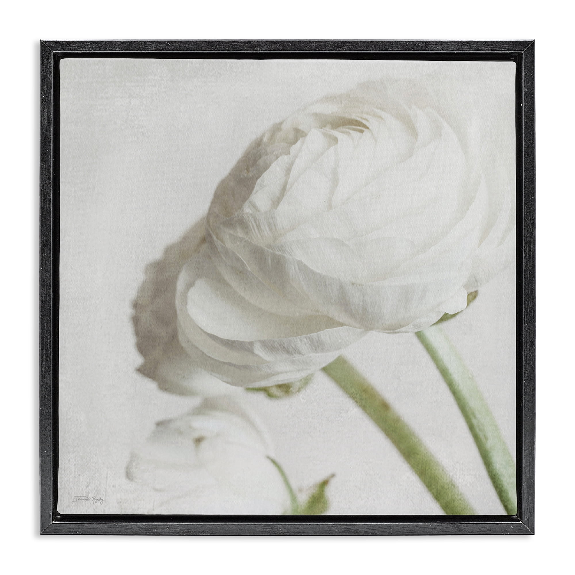 Stupell Industries Charming White Peony Botanical & Floral Painting Black Floater Framed Art Print Wall Art, 18 x 18