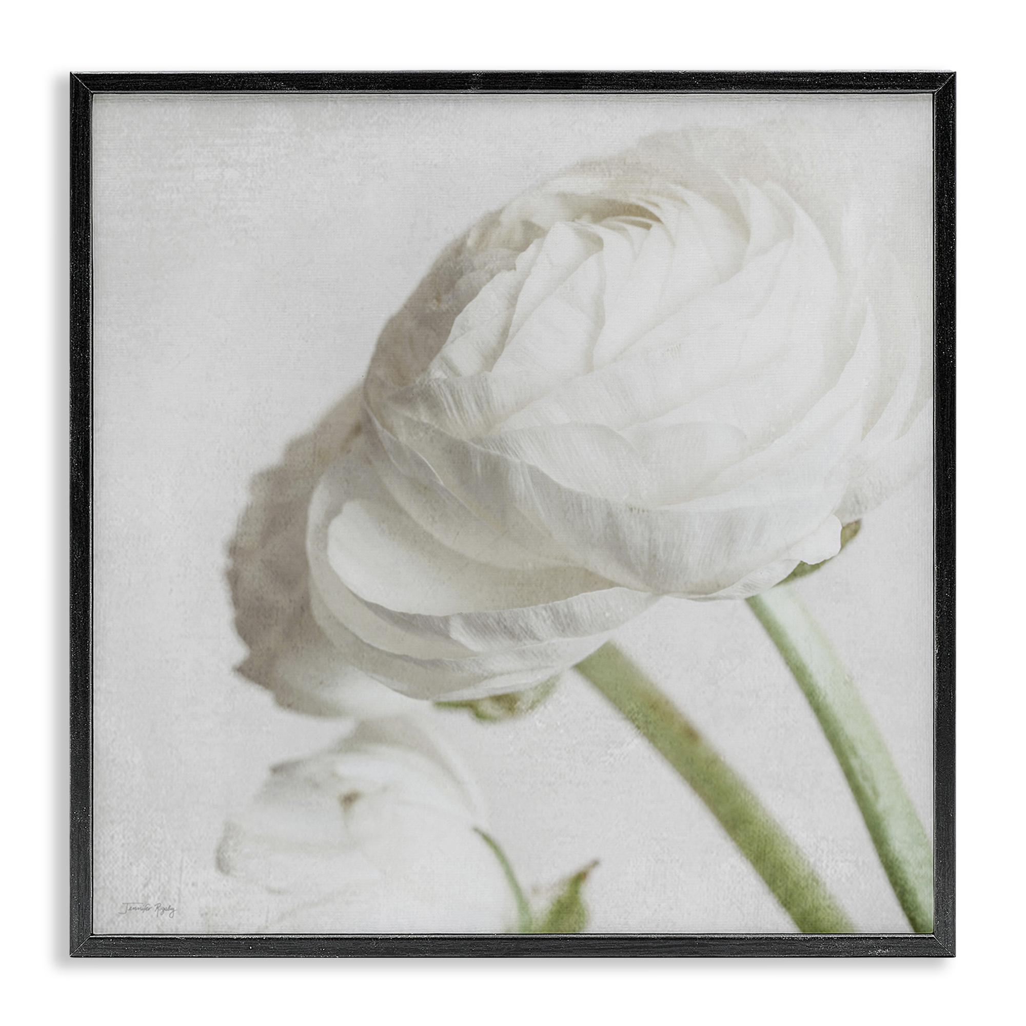 Stupell Industries Charming White Peony Botanical & Floral Painting Black Framed Art Print Wall Art, 24 x 24