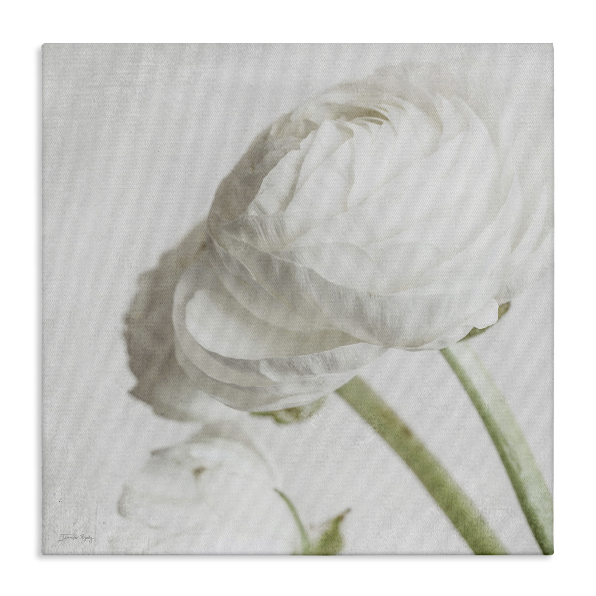 Stupell Industries Charming White Peony Botanical & Floral Painting Gallery Wrapped Canvas Art Print Wall Art, 24 x 24