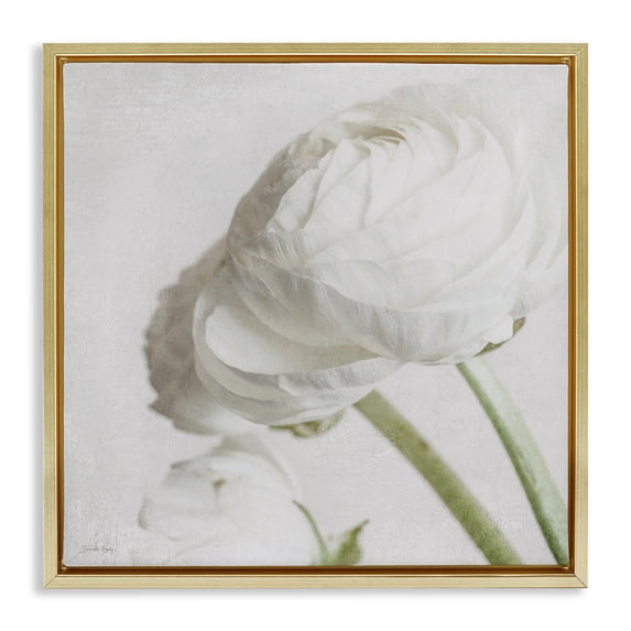 Stupell Industries Scandinavian Charming White Peony Gold Floating Frame Canvas Art, 18 x 18, by Jennifer Rigsby