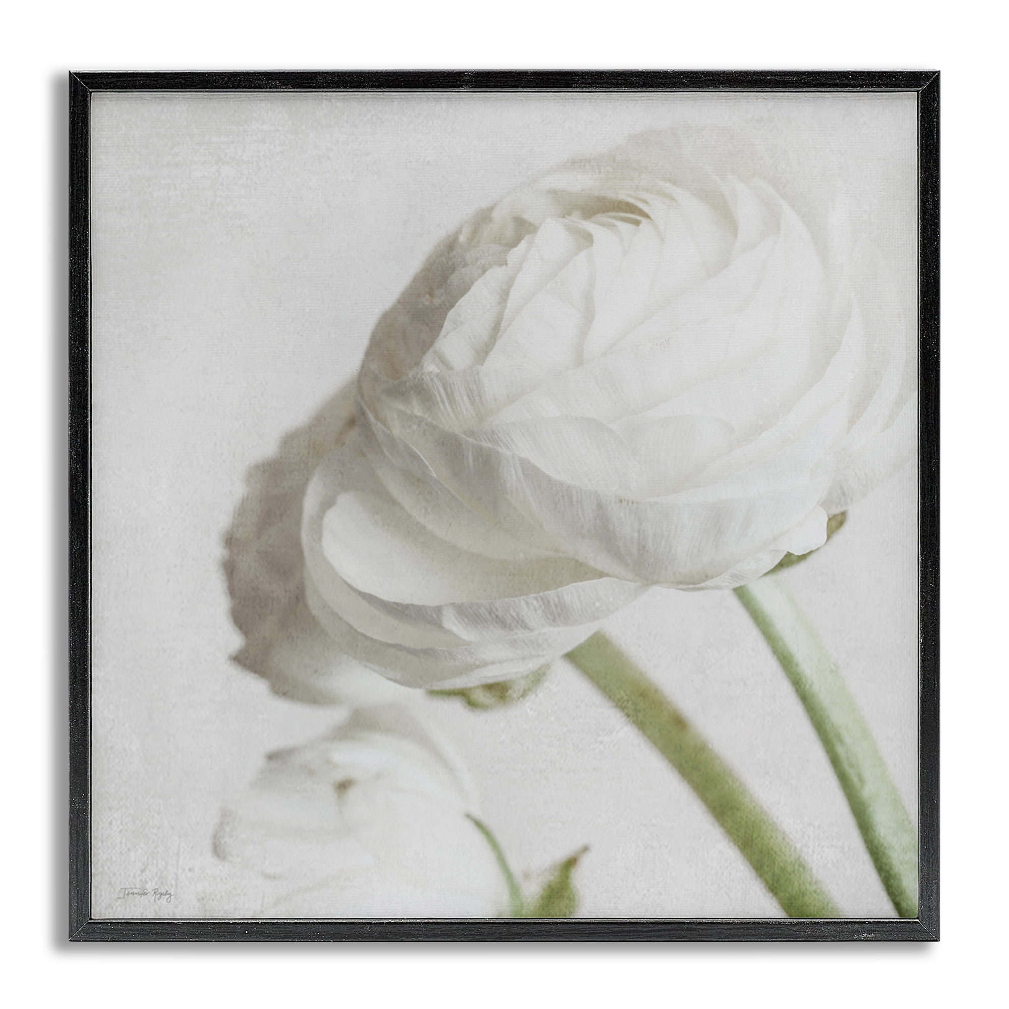 Stupell Industries Charming White Peony Botanical & Floral Painting Gray Framed Art Print Wall Art, 17 x 17