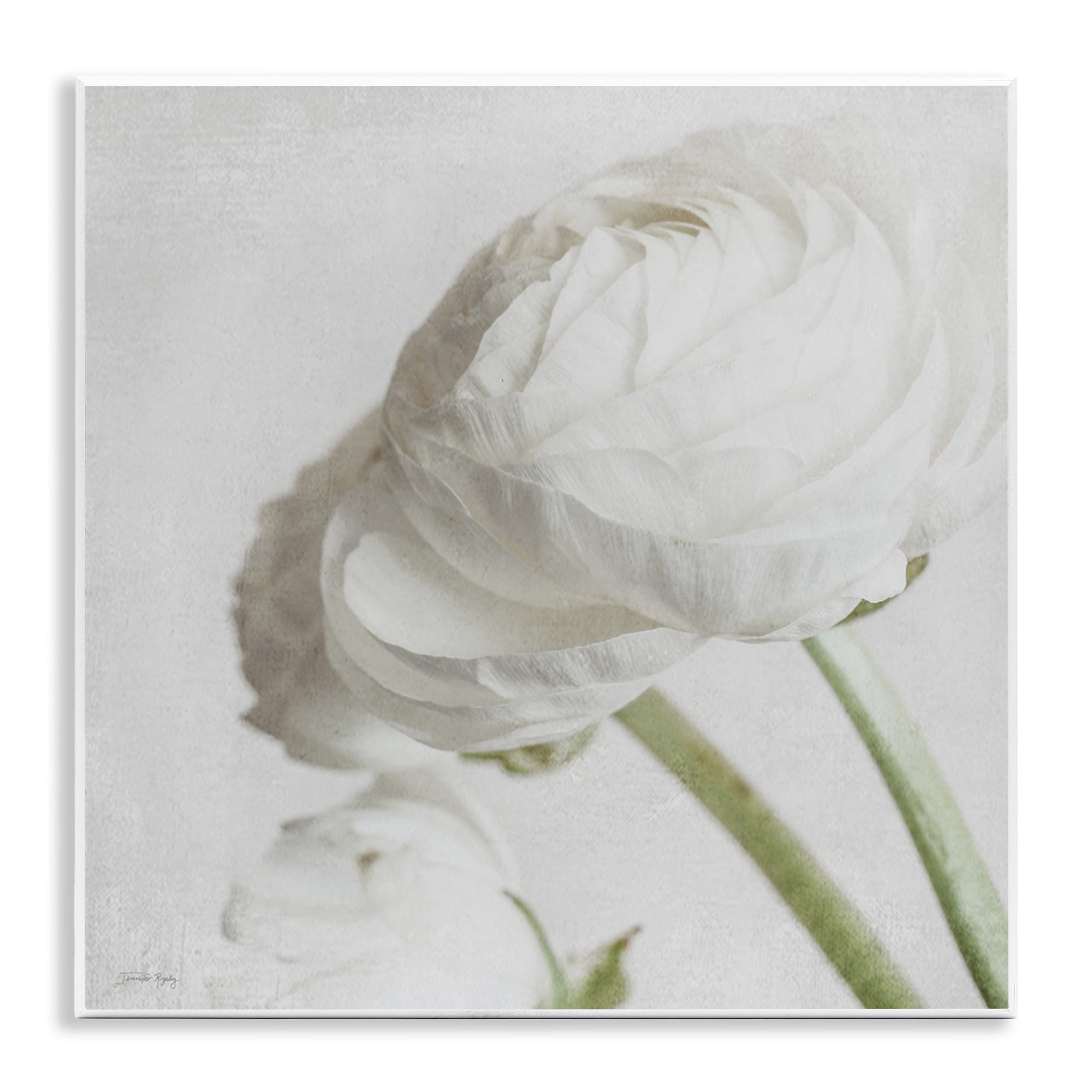 Stupell Industries Charming White Peony Botanical & Floral Painting Unframed Art Print Wall Art, 12 x 12