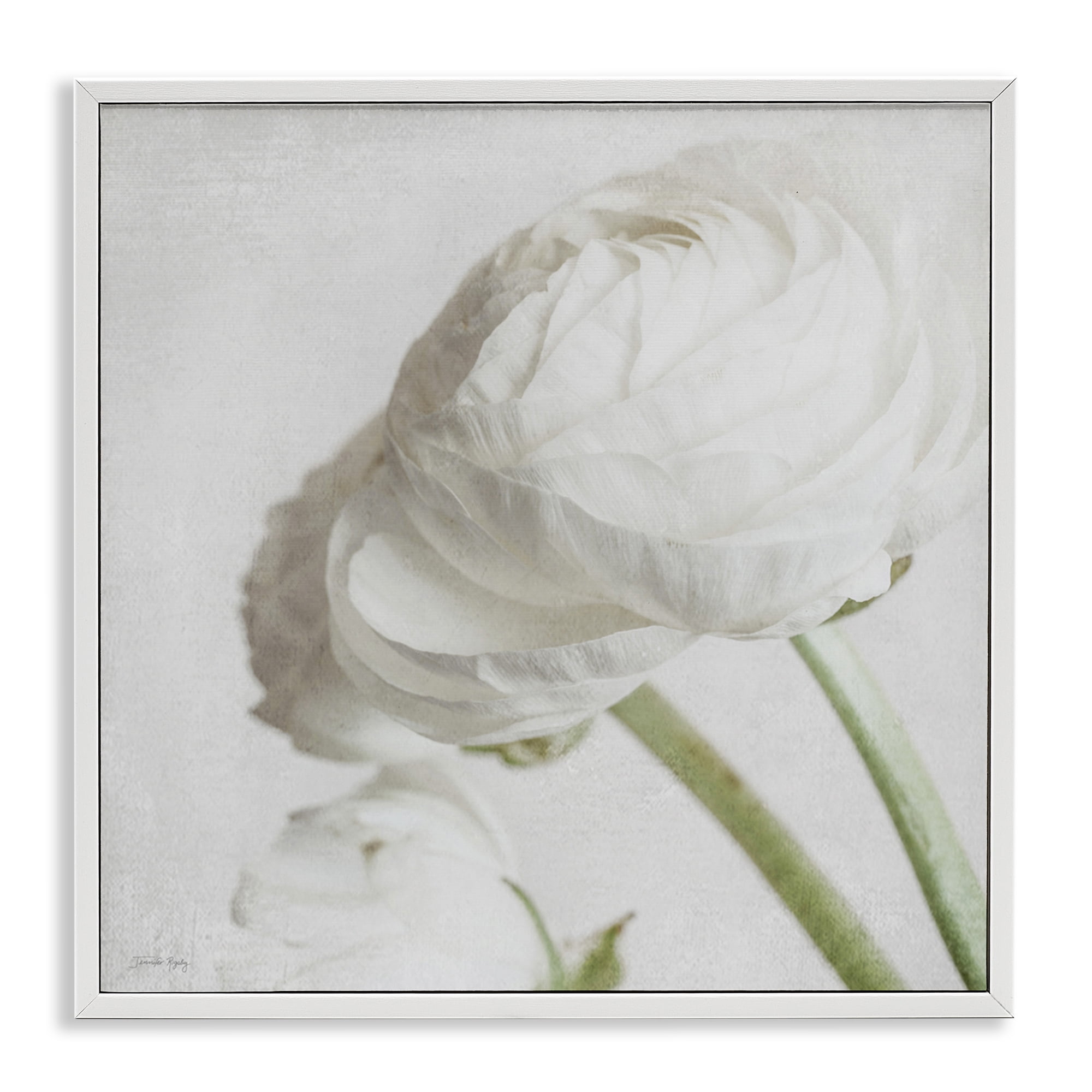 Stupell Industries Charming White Peony Botanical & Floral Painting White Framed Art Print Wall Art, 17 x 17
