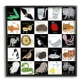 thumbnail image 1 of Stupell Industries Checkered Educational Animal ABC Graphic Art Black Framed Art Print Wall Art, Design by Carla Daly, 1 of 7