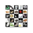 thumbnail image 1 of Stupell Industries Checkered Educational Animal ABC Graphic Art Gallery Wrapped Canvas Print Wall Art, Design by Carla Daly, 1 of 7