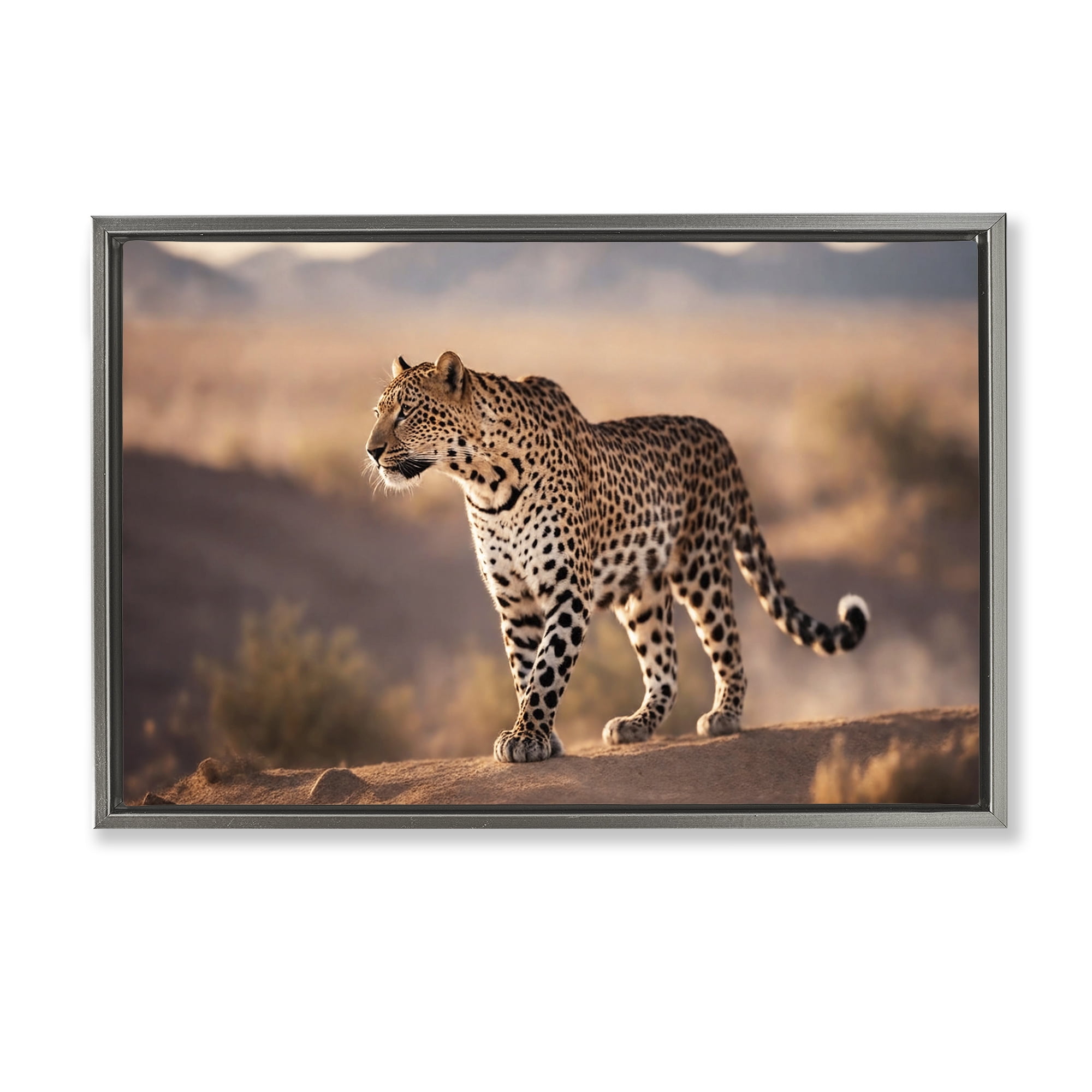 Stupell Industries Cheetah On Patrol Animals Photography Gray Floater Framed Canvas Art Print Wall Art, 25 x 17